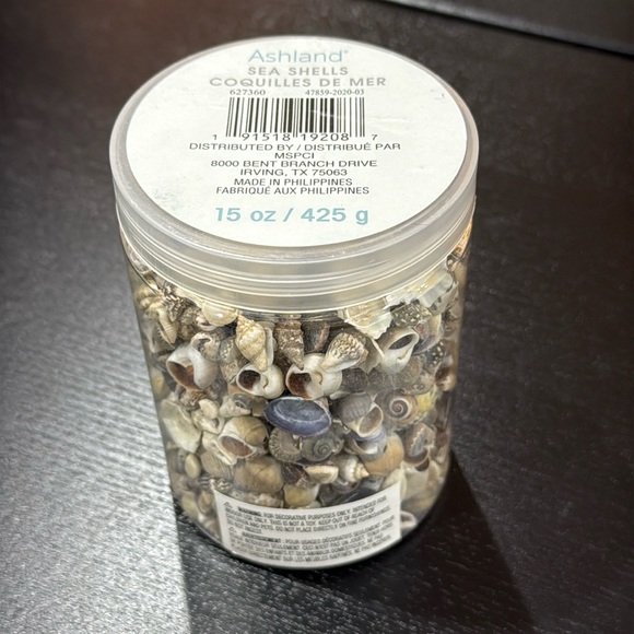 Assorted Mini Sea Shells - Picture 1 of 3